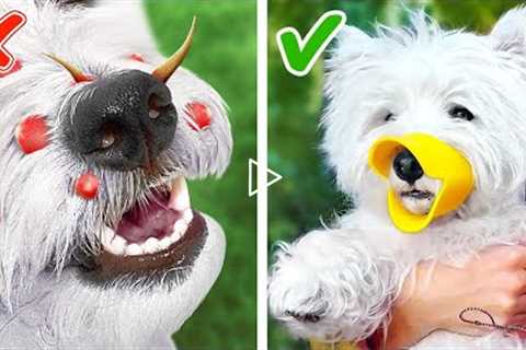 Save Your Dog’s Nose! *Amazing Gadgets and Hacks for Pet Owners