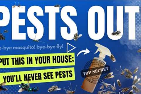 Eliminate Flies and Mosquitos For Good Using This Household Item