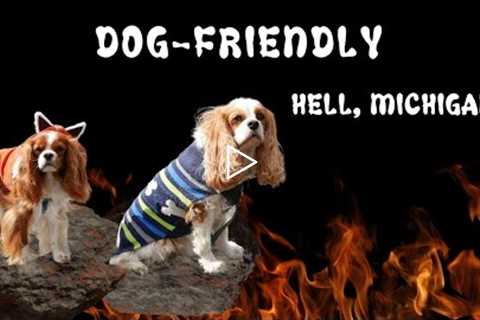 Dog-Friendly Activities in Hell, MI | Restaurant, Places, Stores, Activities all in One Spot