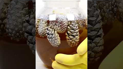 Christmas Decoration Craft