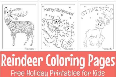 Reindeer Coloring Pages for Kids & Adults