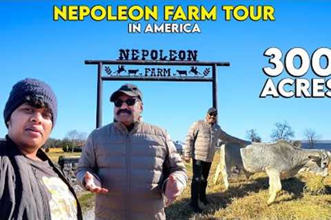Nepoleon Farm Tour 🔥| 300 Acres in America 😱 - Irfan''s View