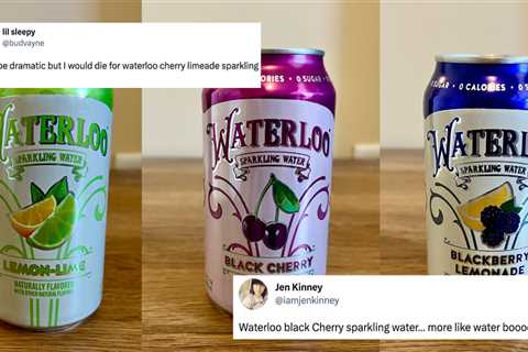 The Best (and Worst) Waterloo Sparkling Water Flavors