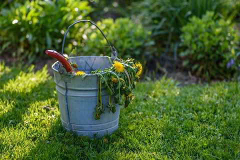 Protect Your Garden From a Heat Wave With These Cheap Solutions