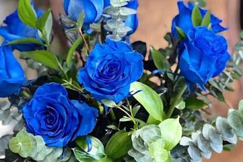 Home Decor Midland, TX · Wednesday, Aug 20 📸